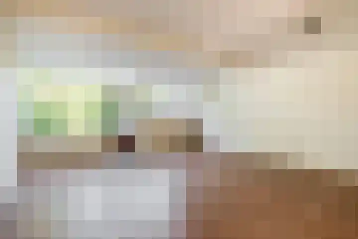Vlaamse gaai 43 Deventer thumbnail 11