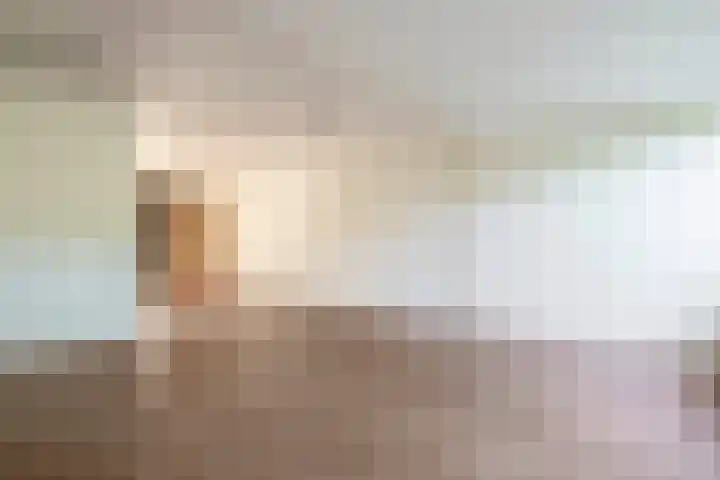 Vlaamse gaai 43 Deventer thumbnail 12