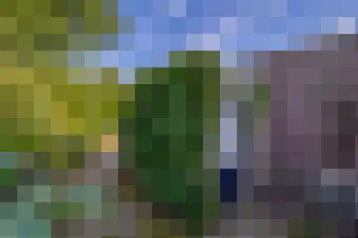 Vlaamse gaai 43 Deventer thumbnail 16