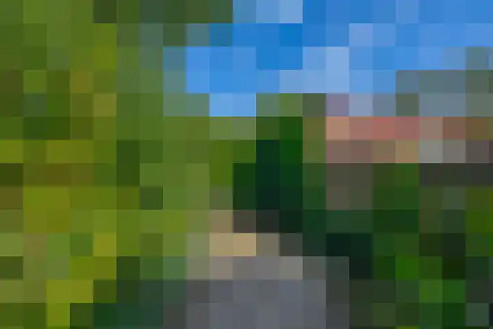 Vlaamse gaai 43 Deventer thumbnail 17