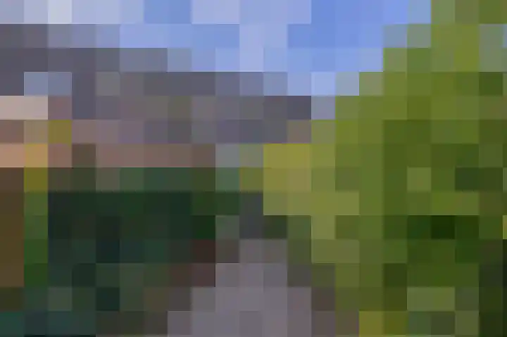 Vlaamse gaai 43 Deventer thumbnail 18