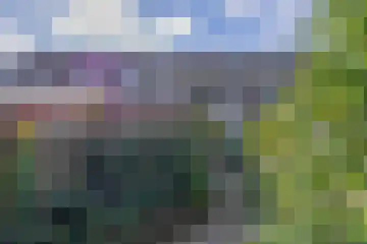 Vlaamse gaai 43 Deventer thumbnail 19