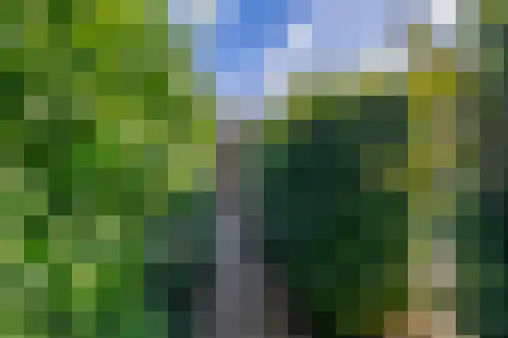 Vlaamse gaai 43 Deventer thumbnail 20