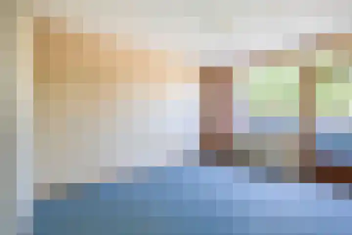 Vlaamse gaai 43 Deventer thumbnail 22