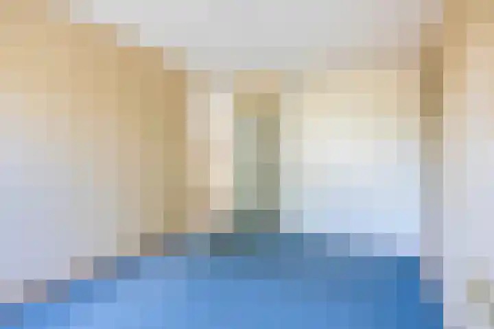 Vlaamse gaai 43 Deventer thumbnail 23