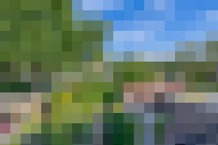 Vlaamse gaai 43 Deventer thumbnail 24