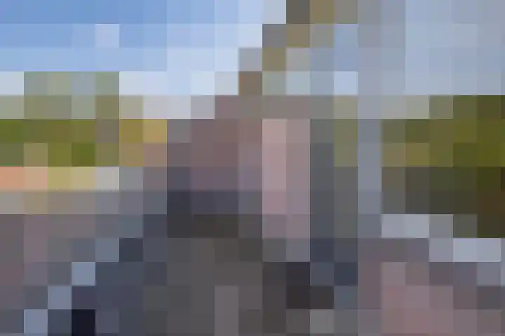 Vlaamse gaai 43 Deventer thumbnail 25