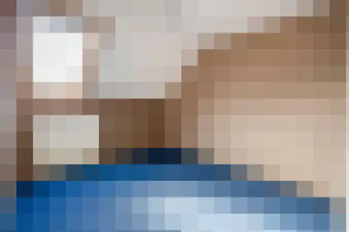 Vlaamse gaai 43 Deventer thumbnail 27