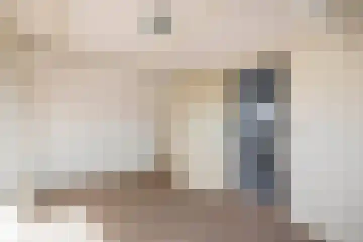 Vlaamse gaai 43 Deventer thumbnail 35