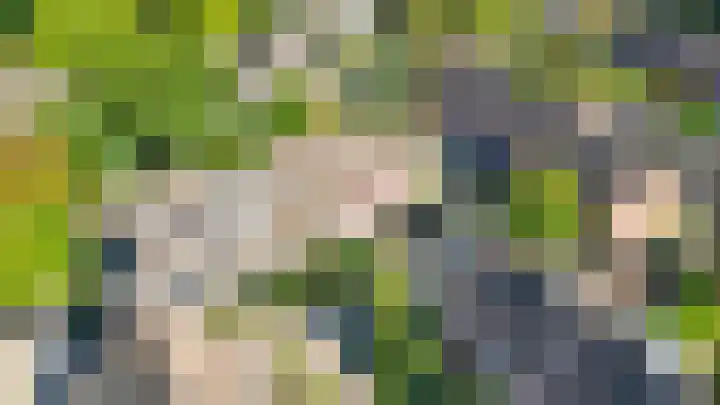 Vlaamse gaai 43 Deventer thumbnail 36