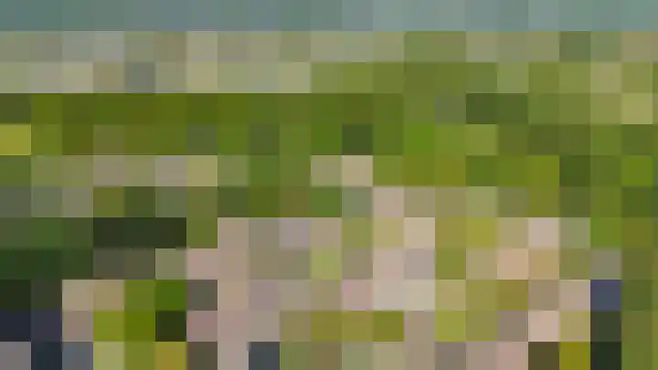 Vlaamse gaai 43 Deventer thumbnail 37