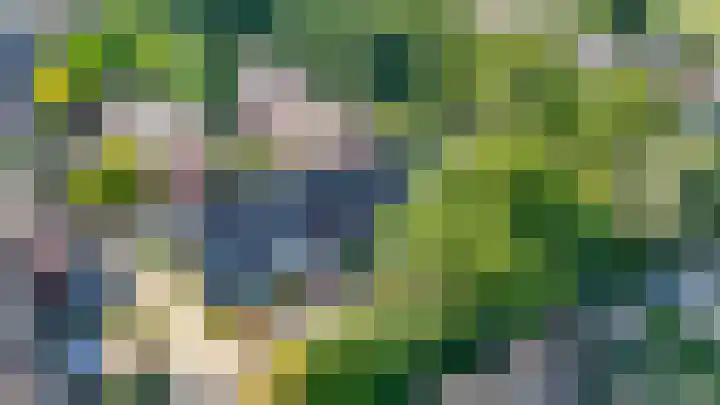 Vlaamse gaai 43 Deventer thumbnail 38