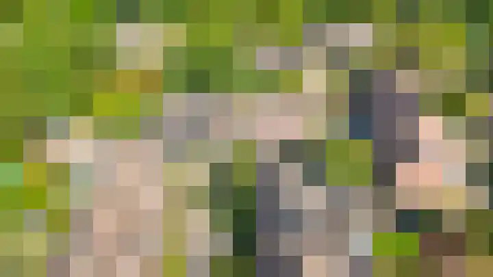 Vlaamse gaai 43 Deventer thumbnail 39