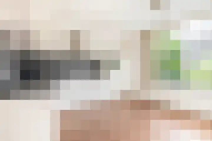 Vlaamse gaai 43 Deventer thumbnail 4