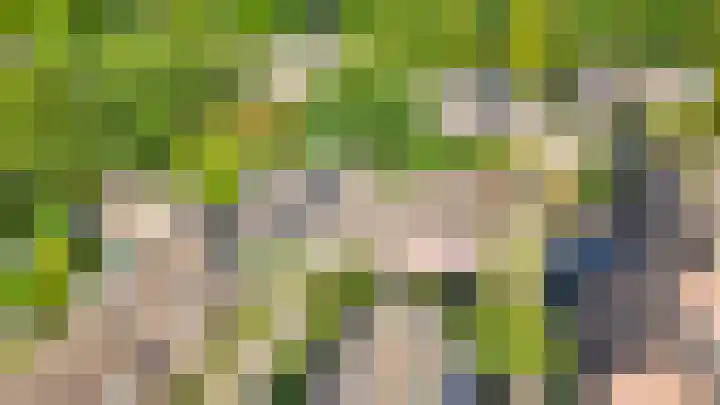 Vlaamse gaai 43 Deventer thumbnail 40
