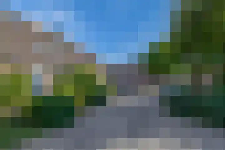 Vlaamse gaai 43 Deventer thumbnail 41
