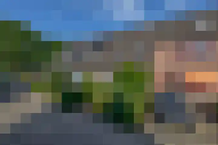 Vlaamse gaai 43 Deventer thumbnail 42