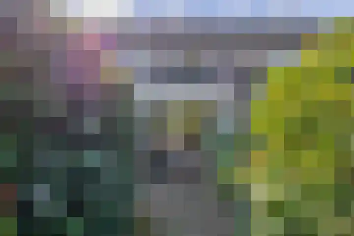 Vlaamse gaai 43 Deventer thumbnail 5