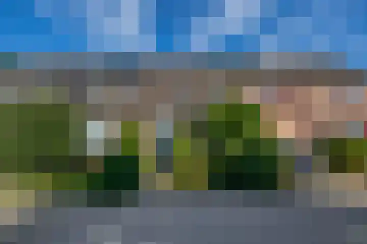 Vlaamse gaai 43 Deventer thumbnail 53