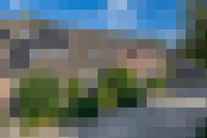 Vlaamse gaai 43 Deventer thumbnail 6