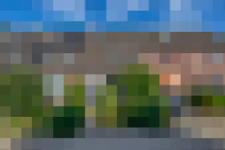 Vlaamse gaai 43 Deventer thumbnail 7