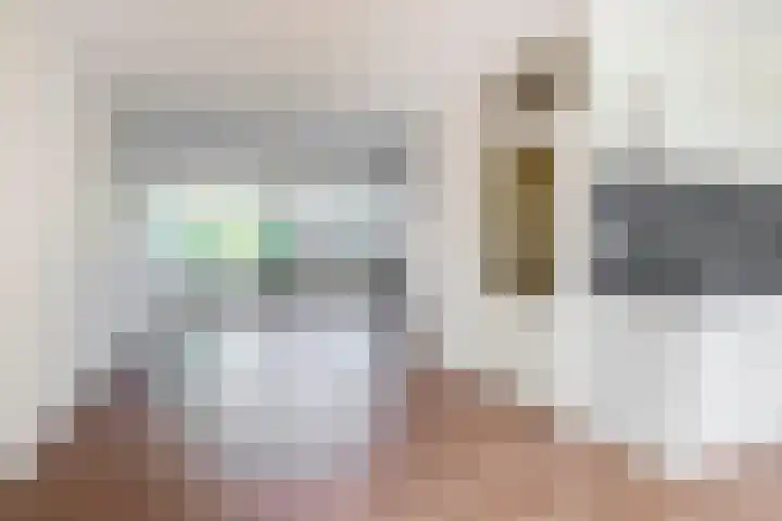 Vlaamse gaai 43 Deventer thumbnail 9