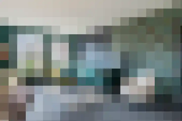 Vlaamse Gaai 7 Etten-Leur thumbnail 10
