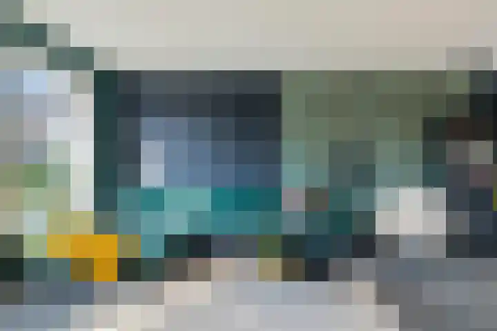 Vlaamse Gaai 7 Etten-Leur thumbnail 11