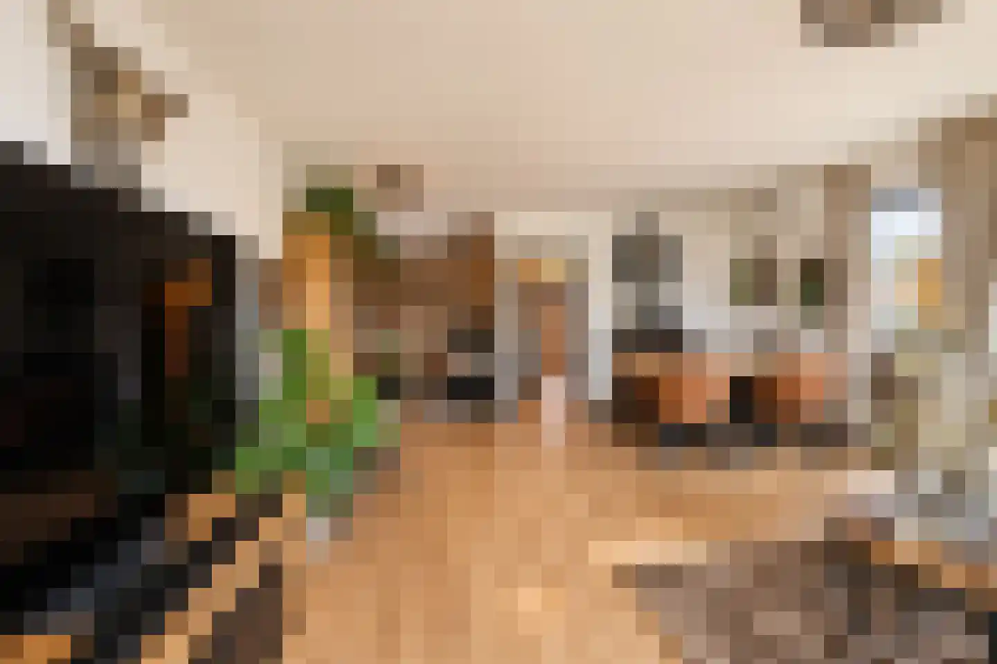 Vlaamse Gaai 7 Etten-Leur thumbnail 12