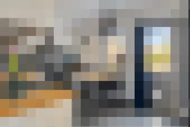 Vlaamse Gaai 7 Etten-Leur thumbnail 12
