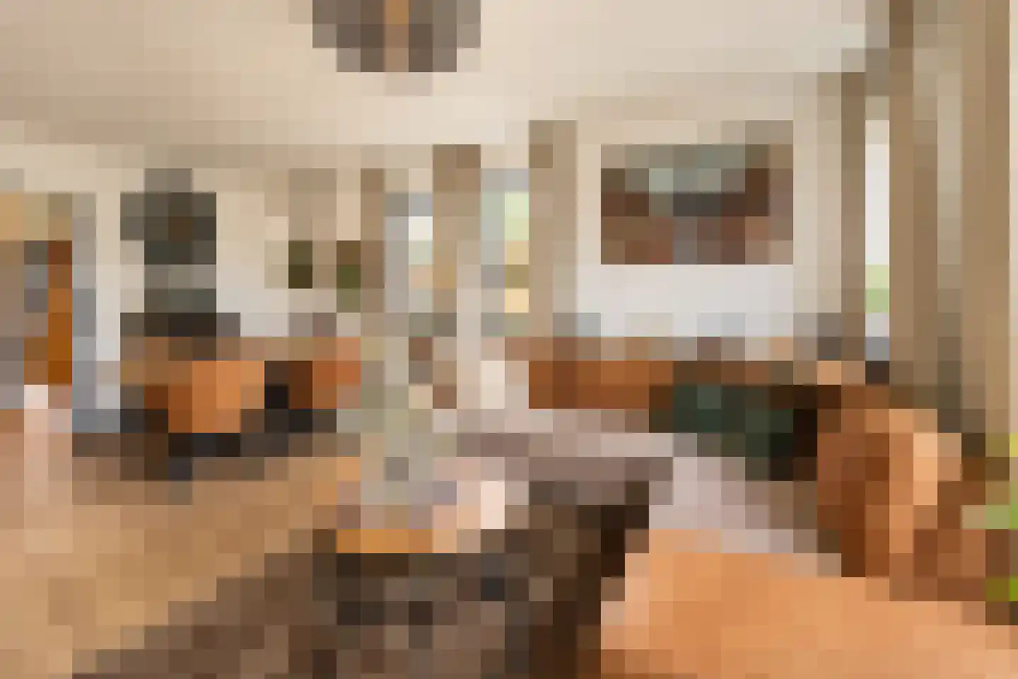 Vlaamse Gaai 7 Etten-Leur thumbnail 13