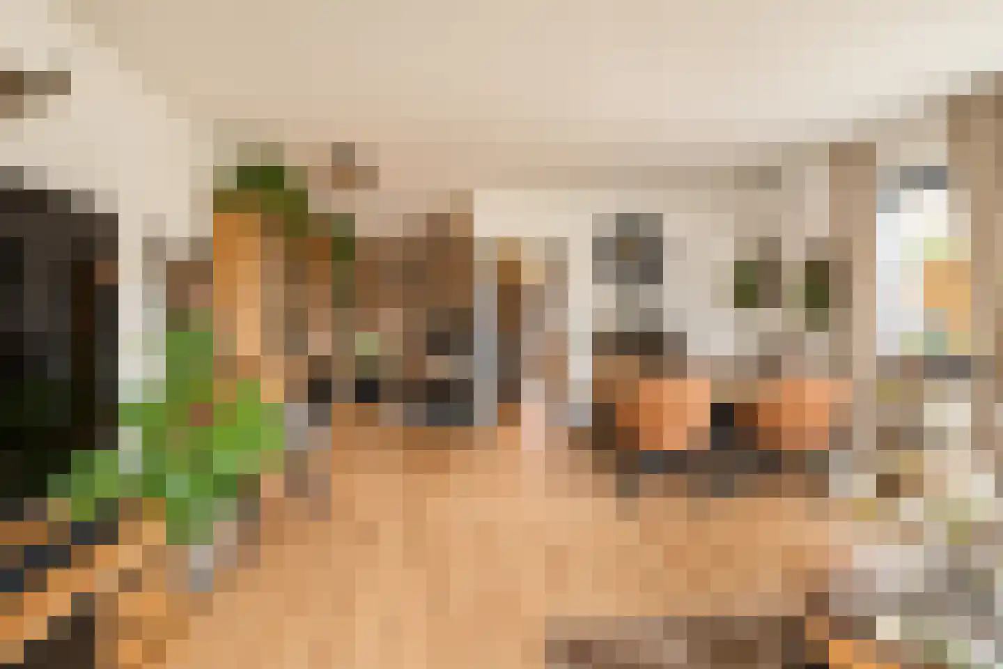 Vlaamse Gaai 7 Etten-Leur thumbnail 14