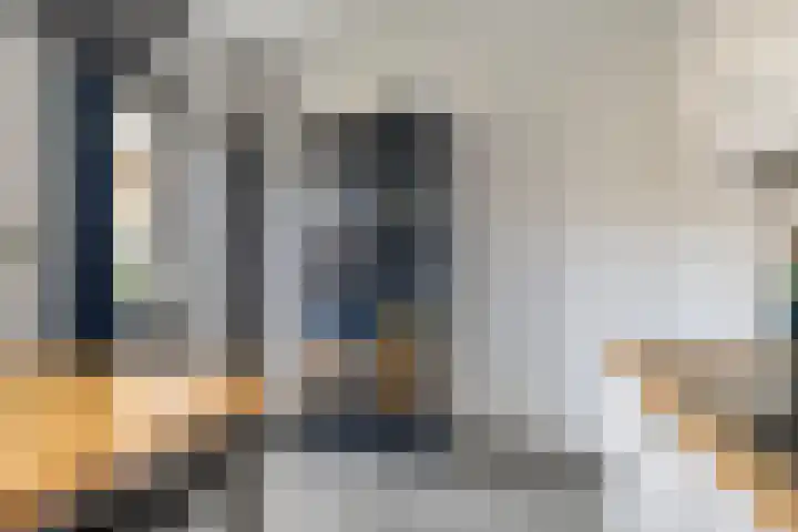 Vlaamse Gaai 7 Etten-Leur thumbnail 14