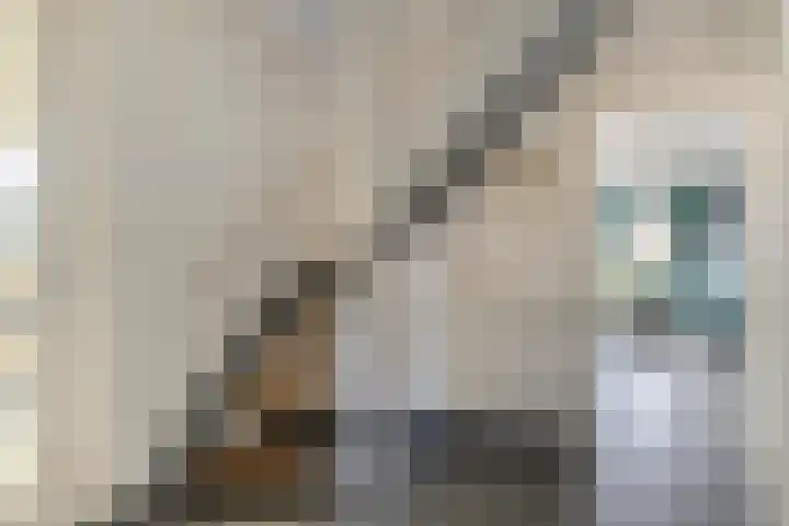 Vlaamse Gaai 7 Etten-Leur thumbnail 16