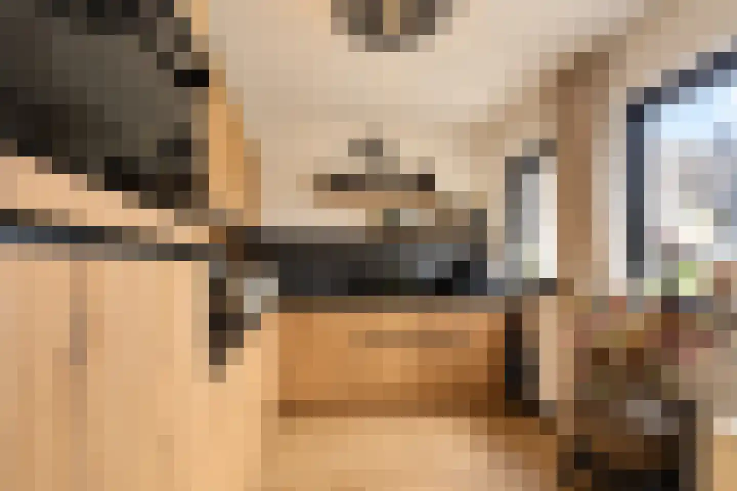 Vlaamse Gaai 7 Etten-Leur thumbnail 16