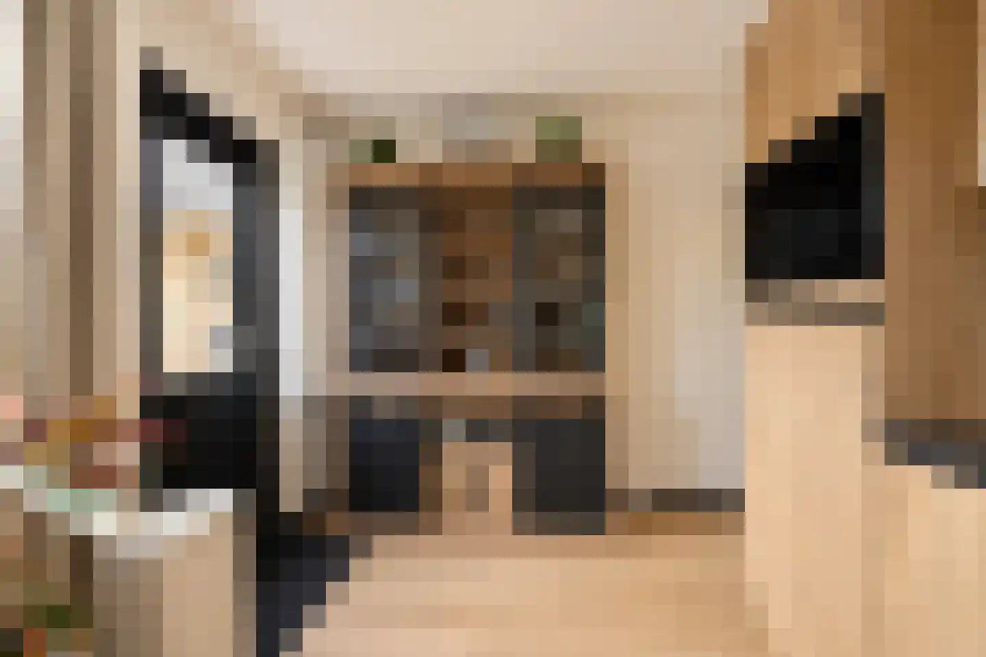 Vlaamse Gaai 7 Etten-Leur thumbnail 18
