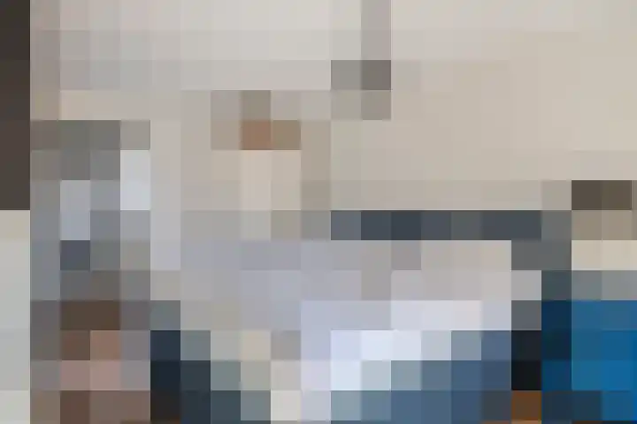 Vlaamse Gaai 7 Etten-Leur thumbnail 19