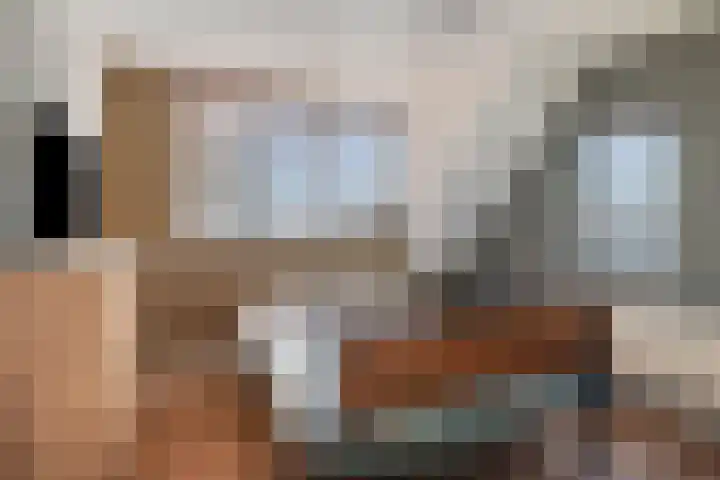 Vlaamse Gaai 7 Etten-Leur thumbnail 21