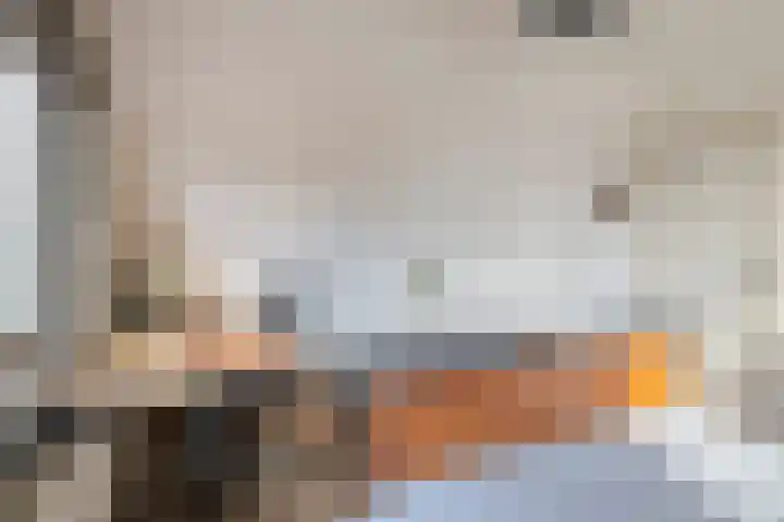 Vlaamse Gaai 7 Etten-Leur thumbnail 22