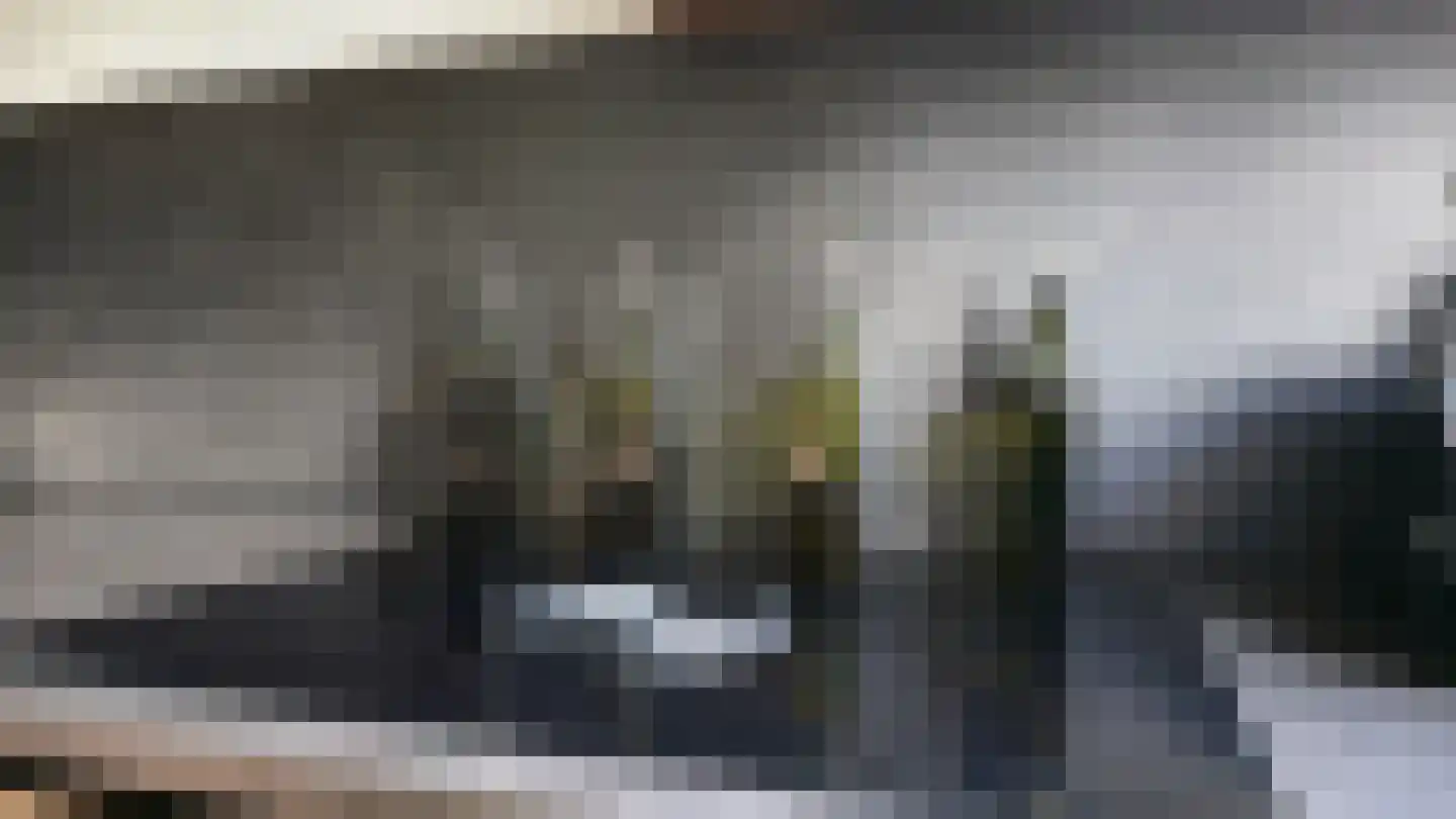 Vlaamse Gaai 7 Etten-Leur thumbnail 22