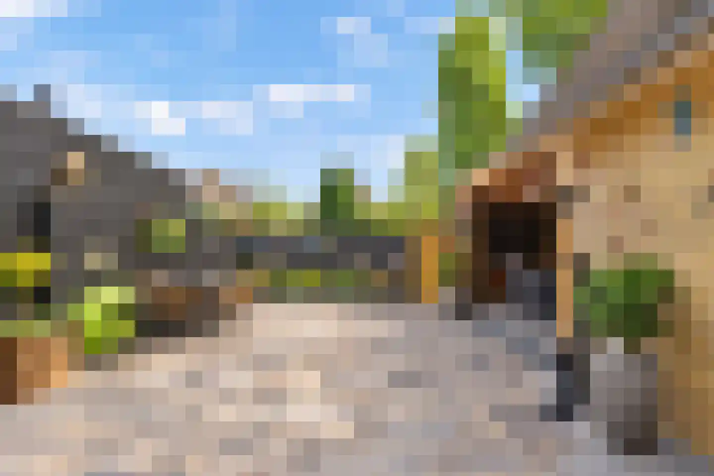 Vlaamse Gaai 7 Etten-Leur thumbnail 23
