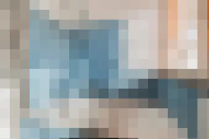 Vlaamse Gaai 7 Etten-Leur thumbnail 24