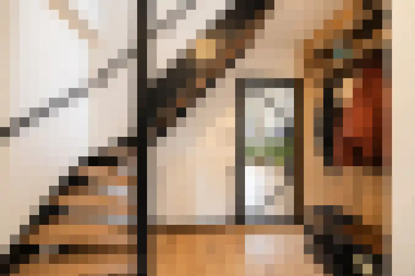 Vlaamse Gaai 7 Etten-Leur thumbnail 25