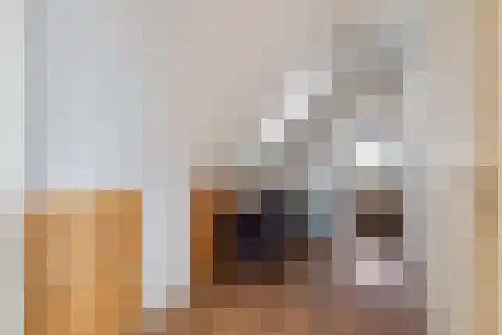 Vlaamse Gaai 7 Etten-Leur thumbnail 26