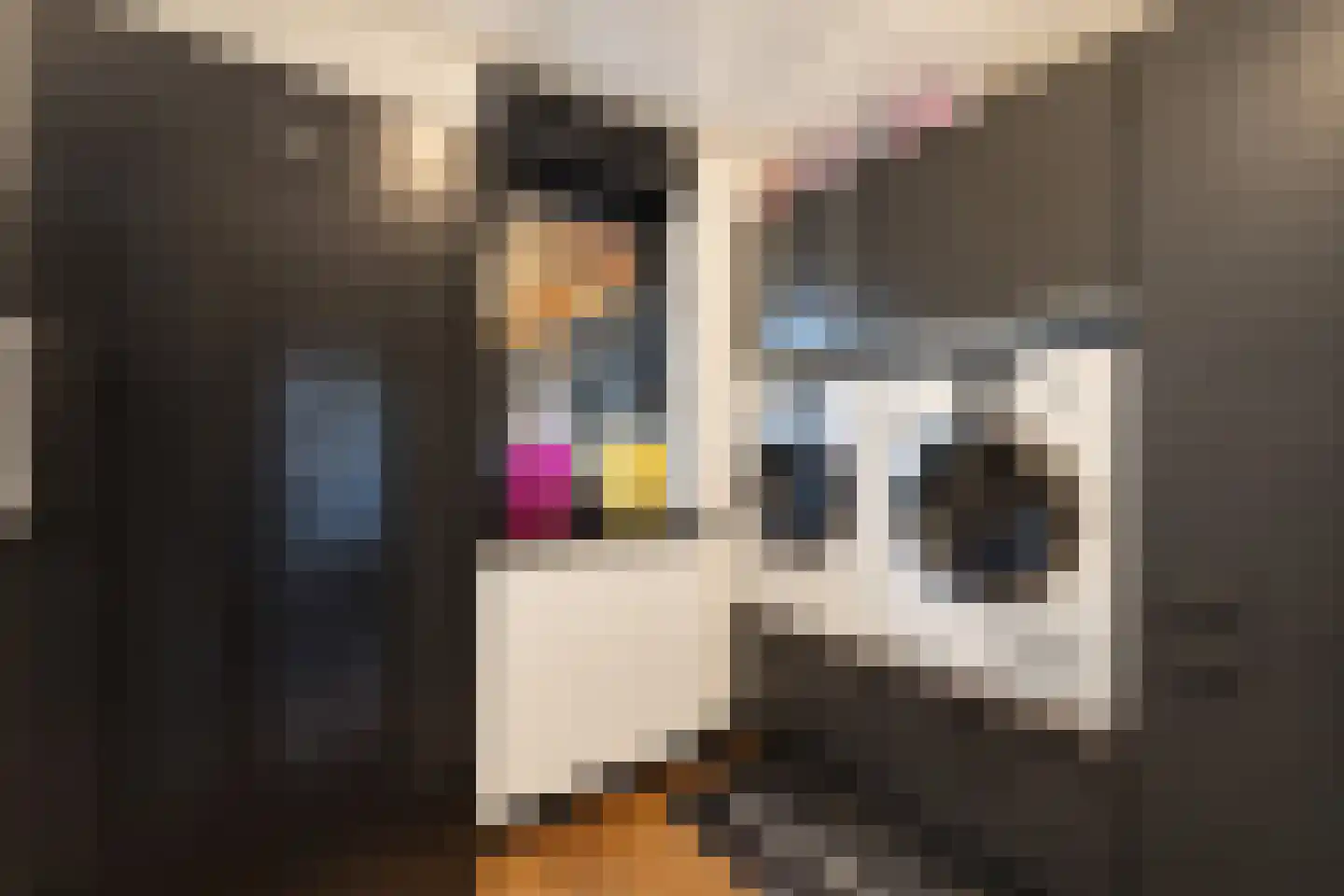 Vlaamse Gaai 7 Etten-Leur thumbnail 27