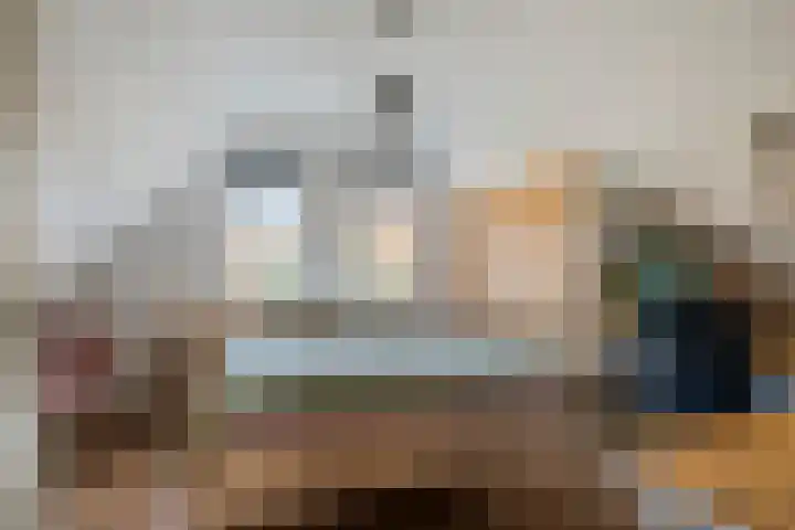 Vlaamse Gaai 7 Etten-Leur thumbnail 27