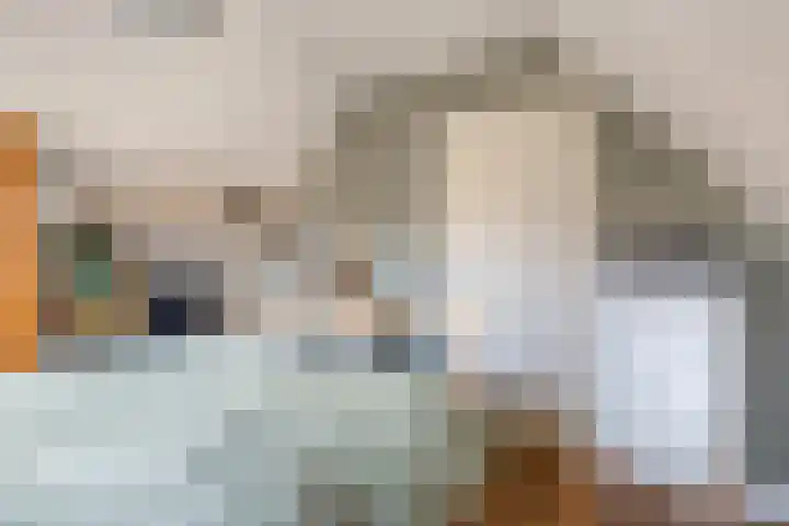 Vlaamse Gaai 7 Etten-Leur thumbnail 28