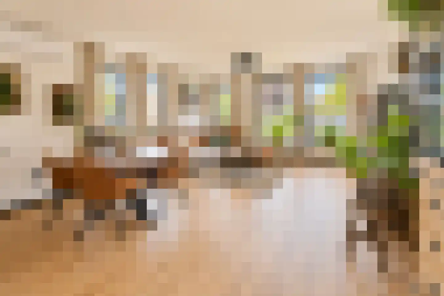 Vlaamse Gaai 7 Etten-Leur foto 3