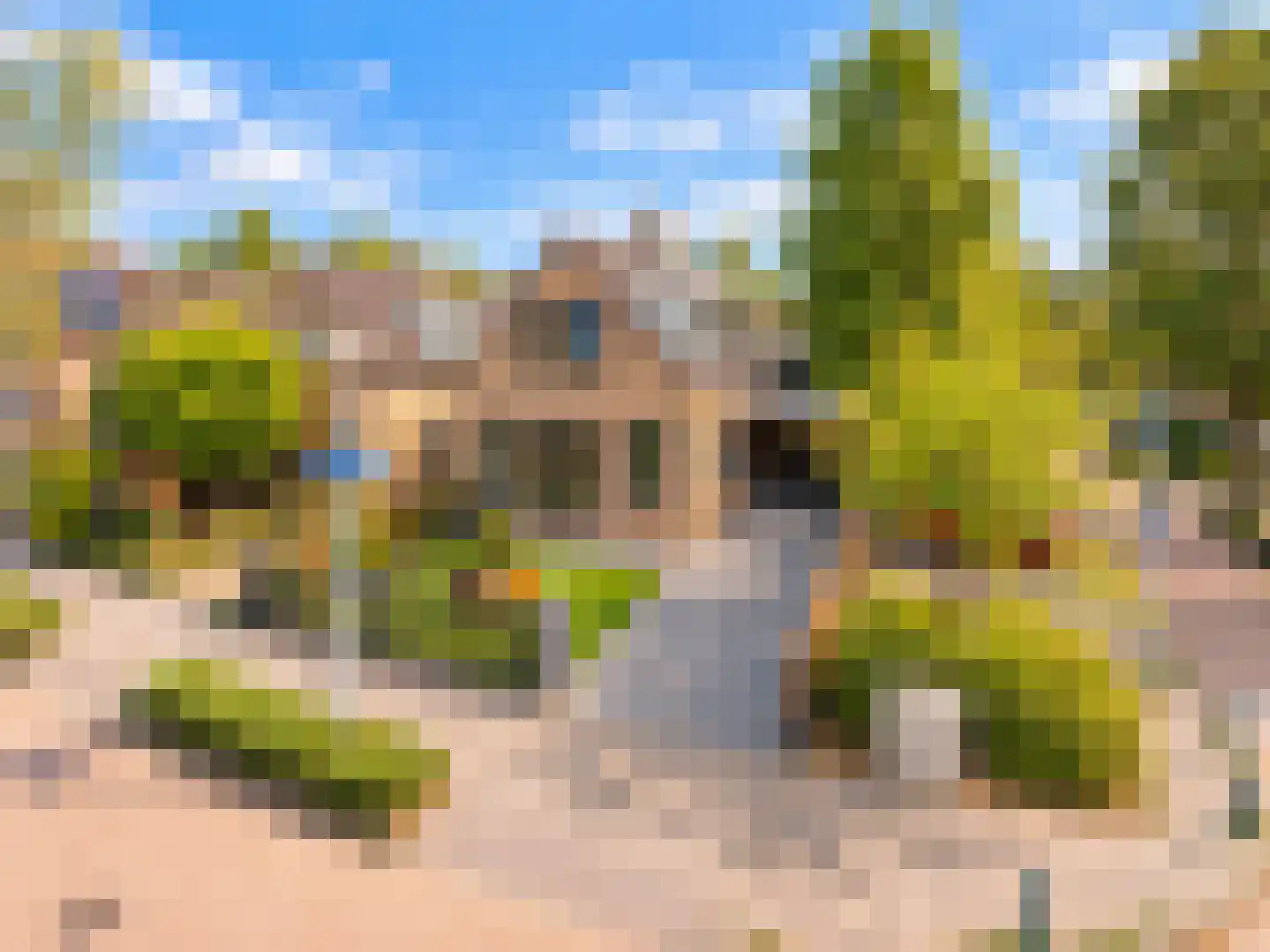 Vlaamse Gaai 7 Etten-Leur thumbnail 30