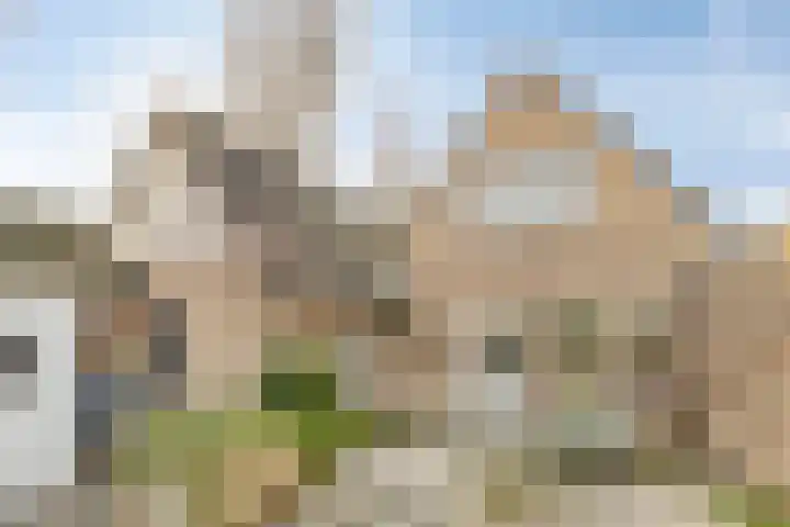 Vlaamse Gaai 7 Etten-Leur thumbnail 30